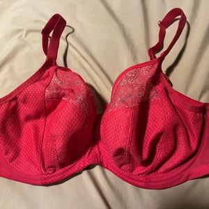 Elomi Bra 36H